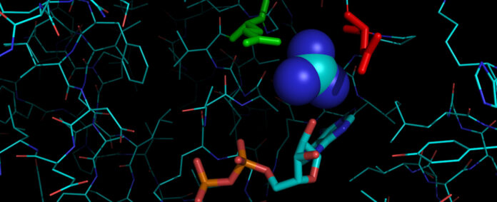 MSc Biochemistry 2024/2025 Admission Requirements in Legon