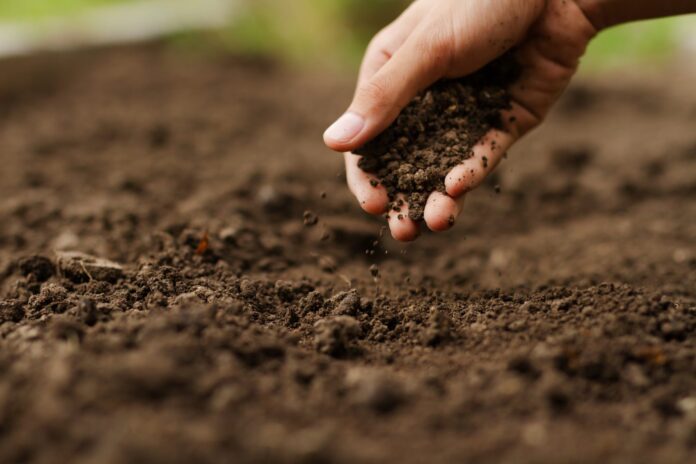 MA Soil Science in Legon 2024/2025 Admission Requirements