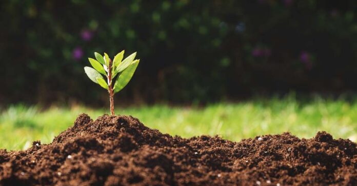 PHD Soil Science in Legon 2024/2025 Admission Requirements