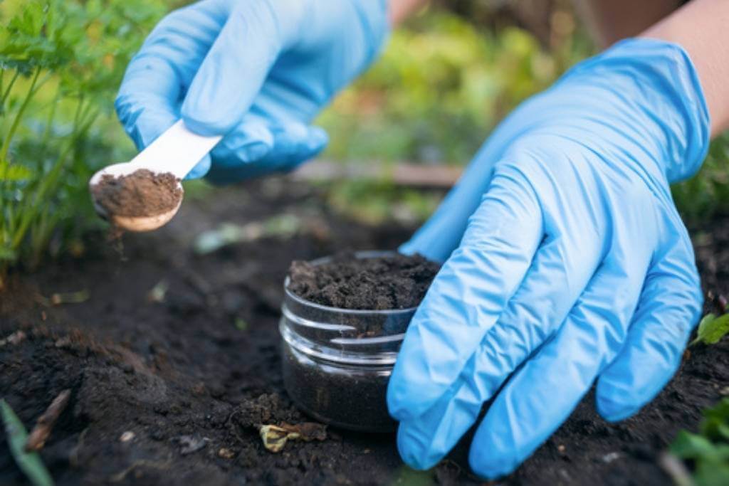 MPhil Soil Science in Legon Admission Requirements 2024/2025